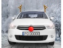 Dekors Briedis automašīnai