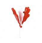  Spēles, sports - CP260260