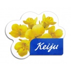   Магниты - Keiju margarīns