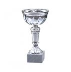        Kausi, apbalvojumi - PT313_23