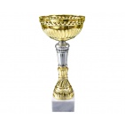        Kausi, apbalvojumi - PT318_35