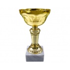        Kausi, apbalvojumi - PT319_22