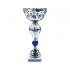        Kausi, apbalvojumi - PT343_36