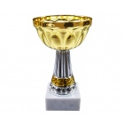        Kausi, apbalvojumi - PT510_23