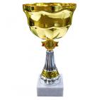        Kausi, apbalvojumi - PT521_30