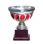        Kausi, apbalvojumi - PT527_15