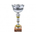        Kausi, apbalvojumi - PT538_44