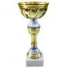        Kausi, apbalvojumi - PT551_24