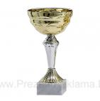        Kausi, apbalvojumi - PT605_27