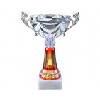        Kausi, apbalvojumi - PT825_20