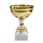        Kausi, apbalvojumi - PT828_21