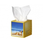   Салфетки - TIEasyBox_05