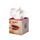   Салфетки - TICube100_02