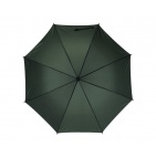     Lietussargi - TS0103231