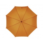     Lietussargi - TS0103234a