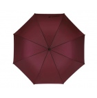     Lietussargi - TS0103238