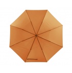     Lietussargi - TS0103264