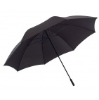     Зонтики - TS0104211