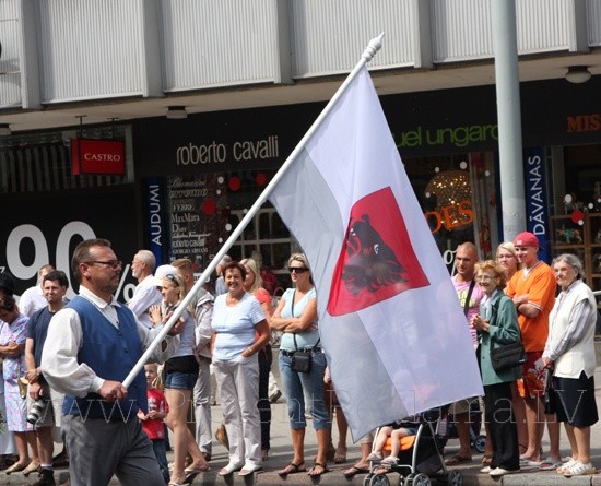 Balvu pilsētas karogs