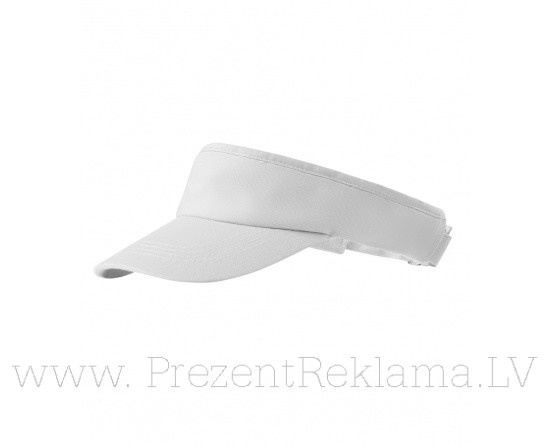 Sunvisor 310