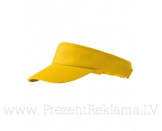 Sunvisor 310